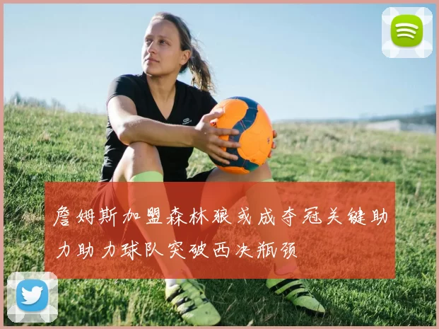 詹姆斯加盟森林狼或成夺冠关键助力助力球队突破西决瓶颈